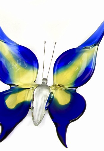 Accessoires B01B vlinder groot blauw-geel