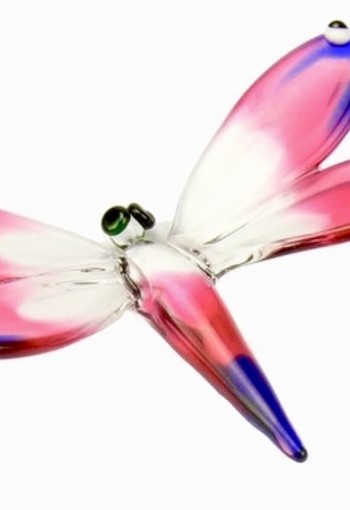 Accessoirers DR02S Libelle klein rose-blauw