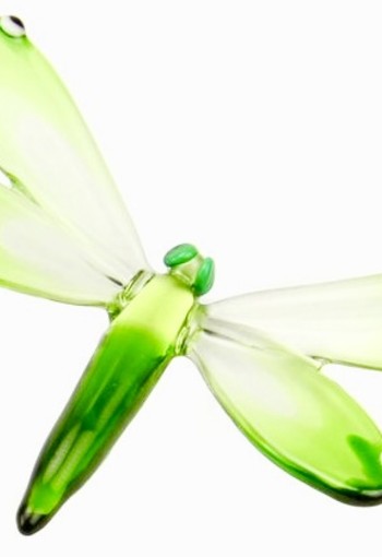 Accessoires DR02B Libelle groot groen.
